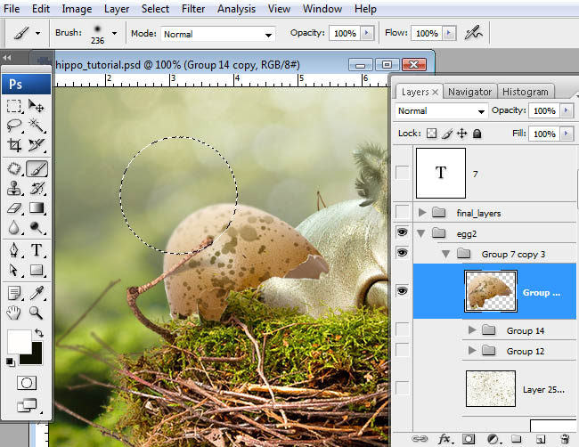 hippo, photoshop, nest, egg, shell, flying hippo, cute, baby, wings, hippopotamus, feathers